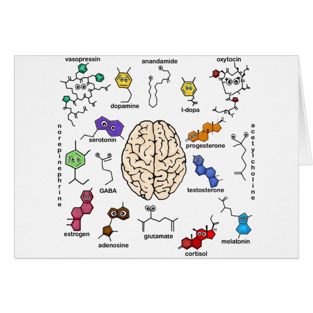Molecules Galore! (Front Horizontal)