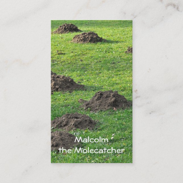 Molehills in a lawn business card (Front)