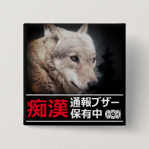 MOLESTER SUPPRESSION BADGE
