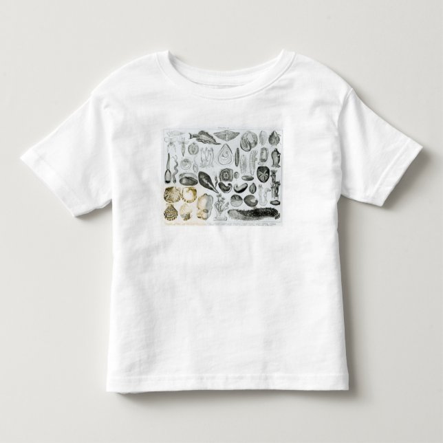 Molluscs Toddler T-Shirt (Front)