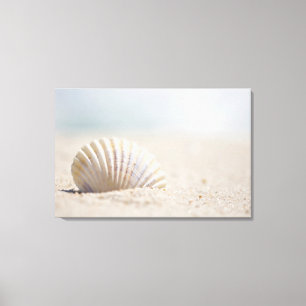 Mollusk Seashell Canvas Print