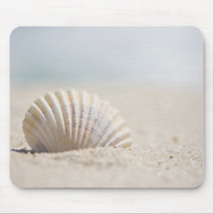 Mollusk Seashell Mouse Pad