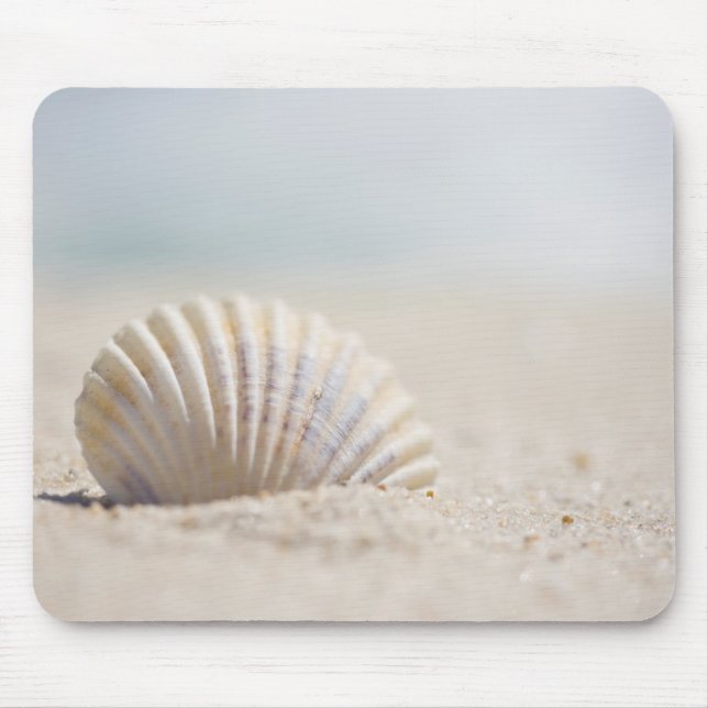 Mollusk Seashell Mouse Pad (Front)