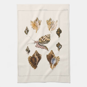Mollusks and Snails, Vintage Marine Life Organisms Tea Towel
