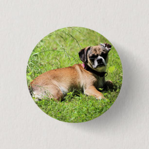 Molly 3 cm round badge