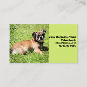 Molly Business Card
