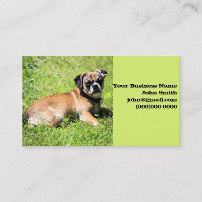 Molly Business Card (Front)