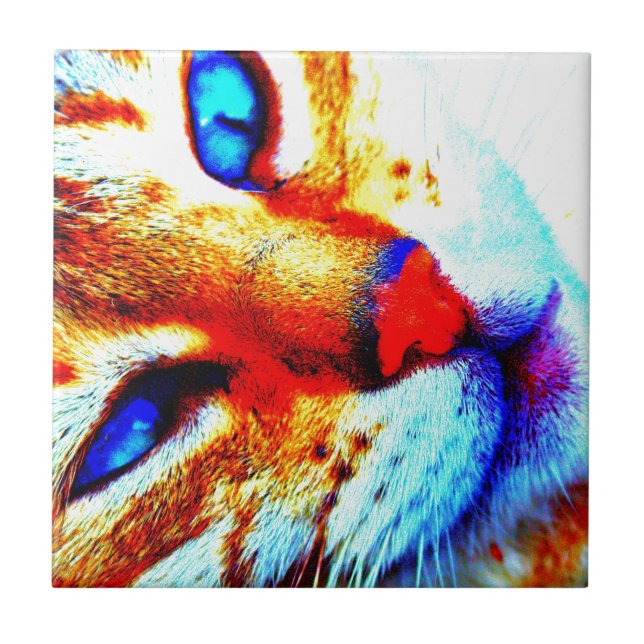 Molly cat tile (Front)