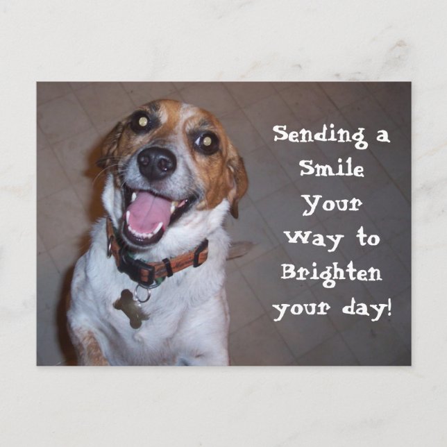 Molly Smiles! Postcard (Front)