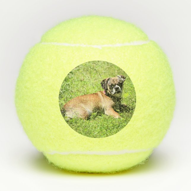 Molly Tennis Balls (Front)