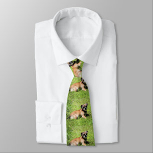 Molly tie