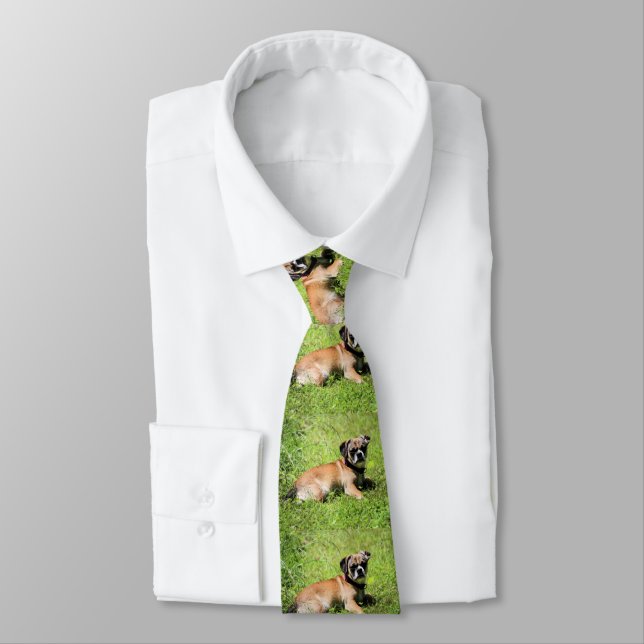 Molly  tie (Tied)