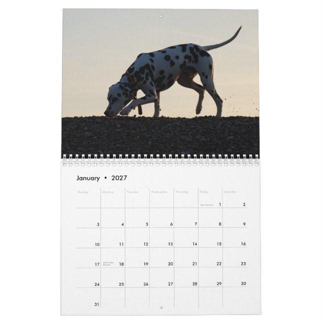 molo 2010 calendar (Jan 2027)