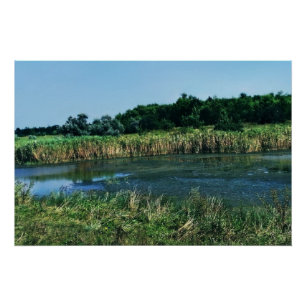 Molochnaya river near Melitopol.  South Ukraine Poster