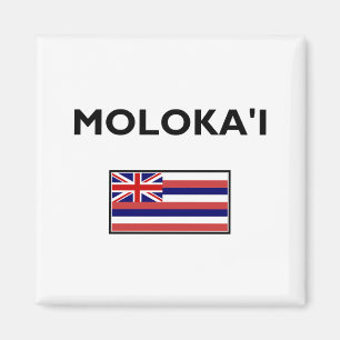 Molokai USA Hawaiian Flag Light-Colour Magnet