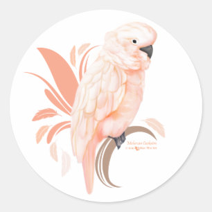 Moluccan Cockatoo Classic Round Sticker