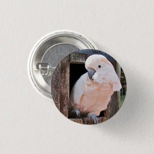 Moluccan Cockatoo Pinback Button