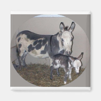 MOM AND BABY DONKEY MAGNET