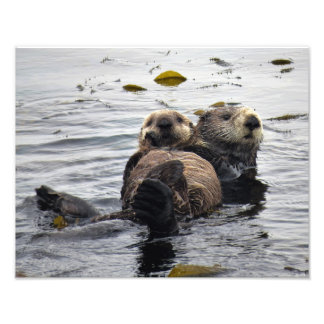 Mom and Pup Sea Otter Photo Print