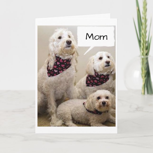 MOM IS WISHED A HAPPY MOTHER'S DAY BY 3 PUPS CARD (Front)