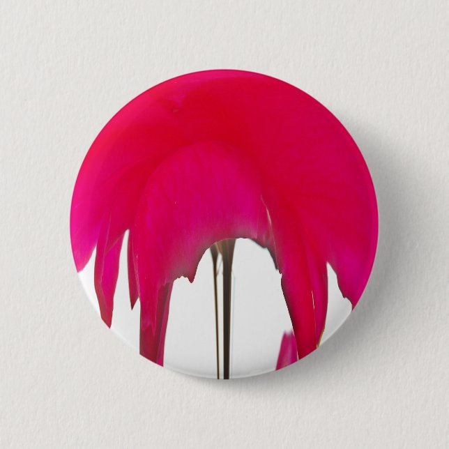 Moment Captured: A Red Rose Petal Elegance 6 Cm Round Badge (Front)