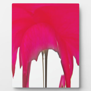 Moment Captured: A Red Rose Petal Elegance Plaque