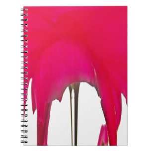 Moment Captured: A Red Rose Petal Elegance Spiral Notebook