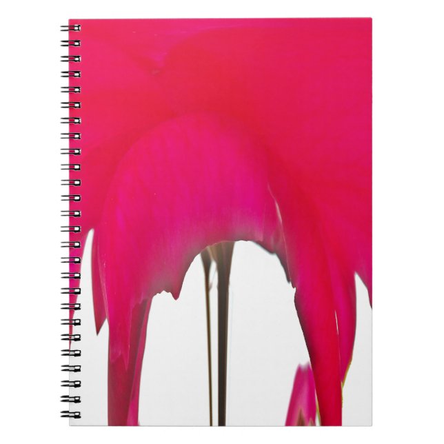 Moment Captured: A Red Rose Petal Elegance Spiral Notebook (Front)