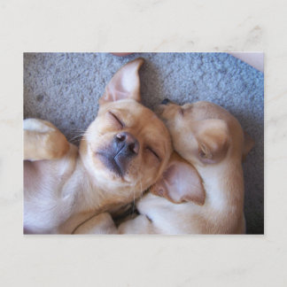 MOMENT IN TIME POSTCARD