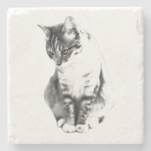 Moment of Reflection Stone Coaster