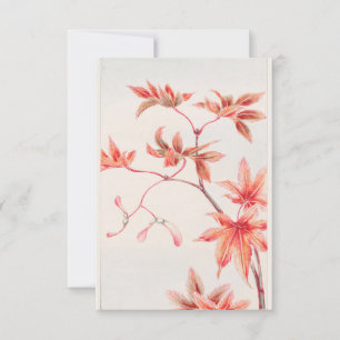 Momiji Maple Tree With Leaves And Seeds by Megata  Invitation