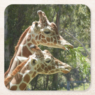 Momma and Baby Giraffe Coaster