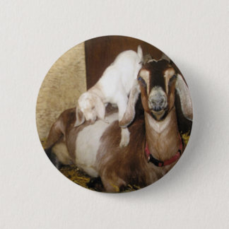 Momma and Baby Goat 6 Cm Round Badge