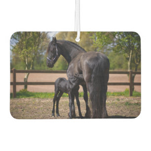 Momma and Baby Horse Car Air Freshener