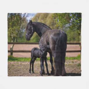 Momma and Baby Horse Fleece Blanket