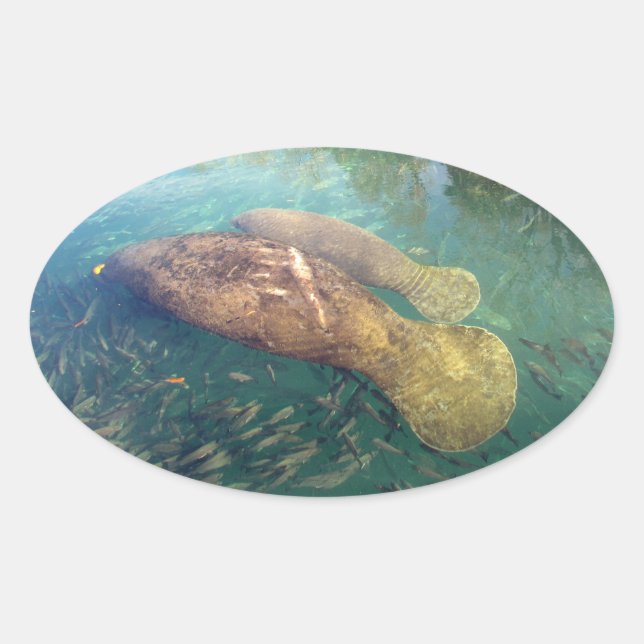 Momma and Baby Manatee Stickers (Front)