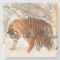 Momma and Baby Tiger