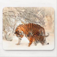 Momma and Baby Tigers