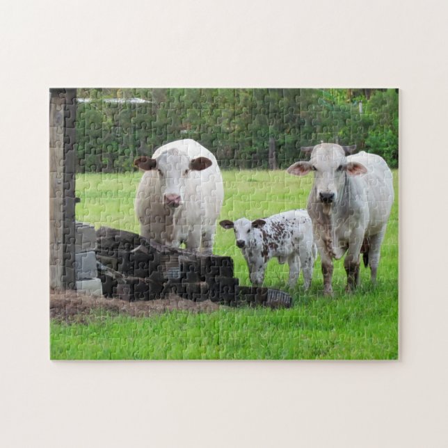 Momma Cow and Calf - Farm Life Puzzle (Horizontal)