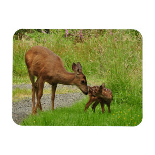 Momma Deer and her Newborn Fawn Magnet