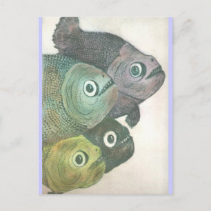 momma dont dance postcard