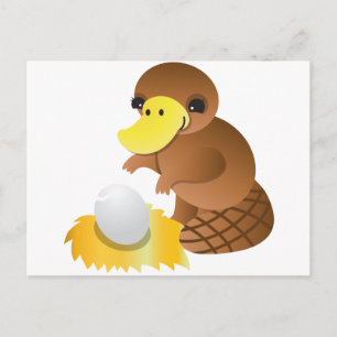 MOMMA platypus Postcard