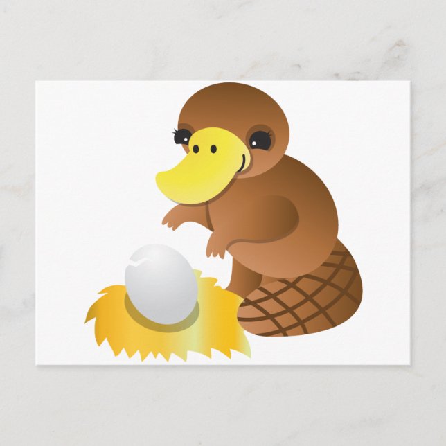 MOMMA platypus Postcard (Front)