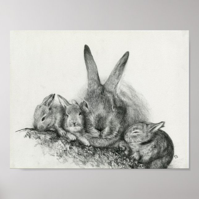 Momma Rabbit With Baby Bunnies Pencil Drawing Poster (Front)