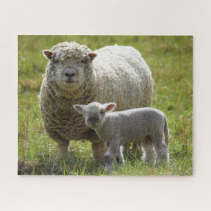 Momma's Baby Lamb  -  16x20 Jigsaw Puzzle