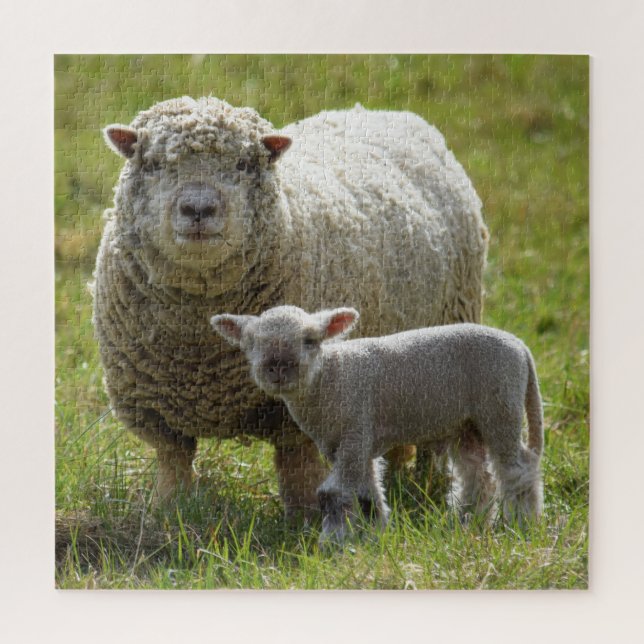 Momma's Baby Lamb  -  20x20 Jigsaw Puzzle (Vertical)