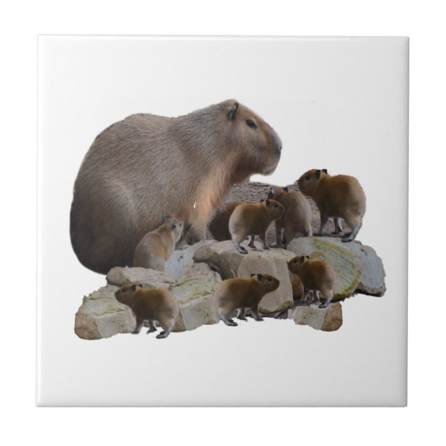 Mommy And Baby Capybaras, Tile (Front)