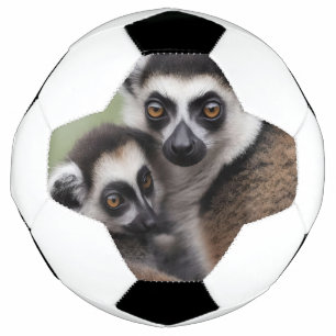 Mommy And Baby Lemur Having A Cuddle, Soccer Ball