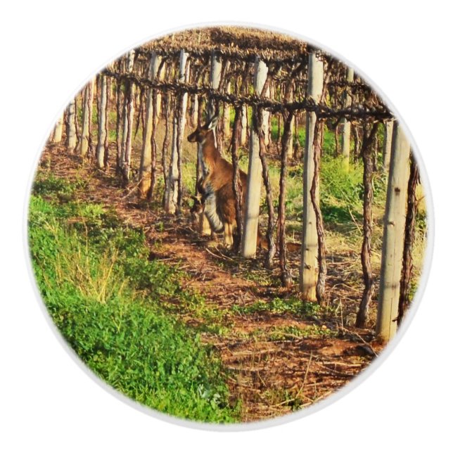 Mommy Kangaroo In The Grapevines,  Ceramic Knob (Front)