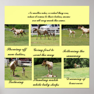 Moms and Babies Poster